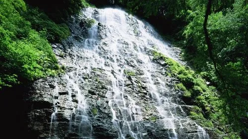 高性能高效